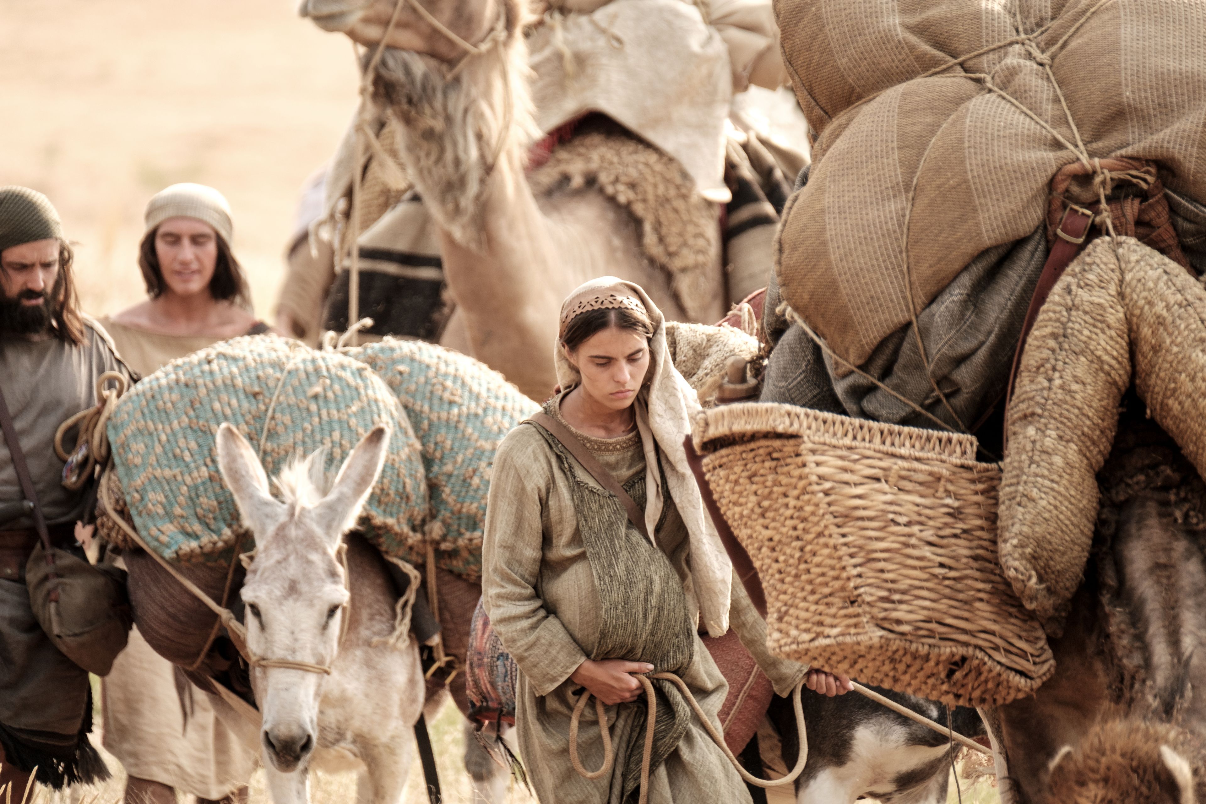 A daughter of Ishmael travels with her family and Lehi's sons in the wilderness.