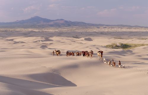 caravan crossing desert