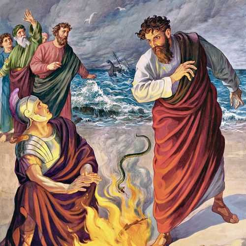 Paul shaking off a viper into a fire