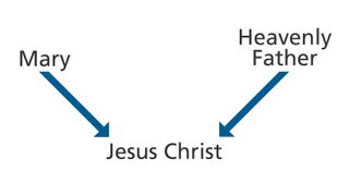Lesson 9 Teacher Material: Rejoicing in the Divine Birth of Jesus Christ