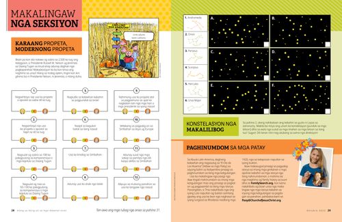 Makalingaw nga Seksiyon