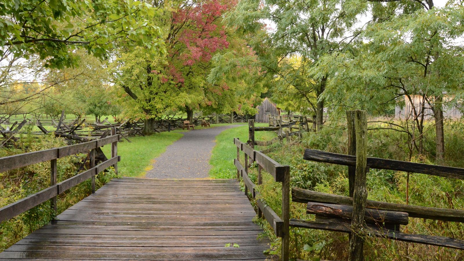 Wooden footbridge with railings and pathway with trees that lead to the Sacred Grove in autumn.  (horiz)
