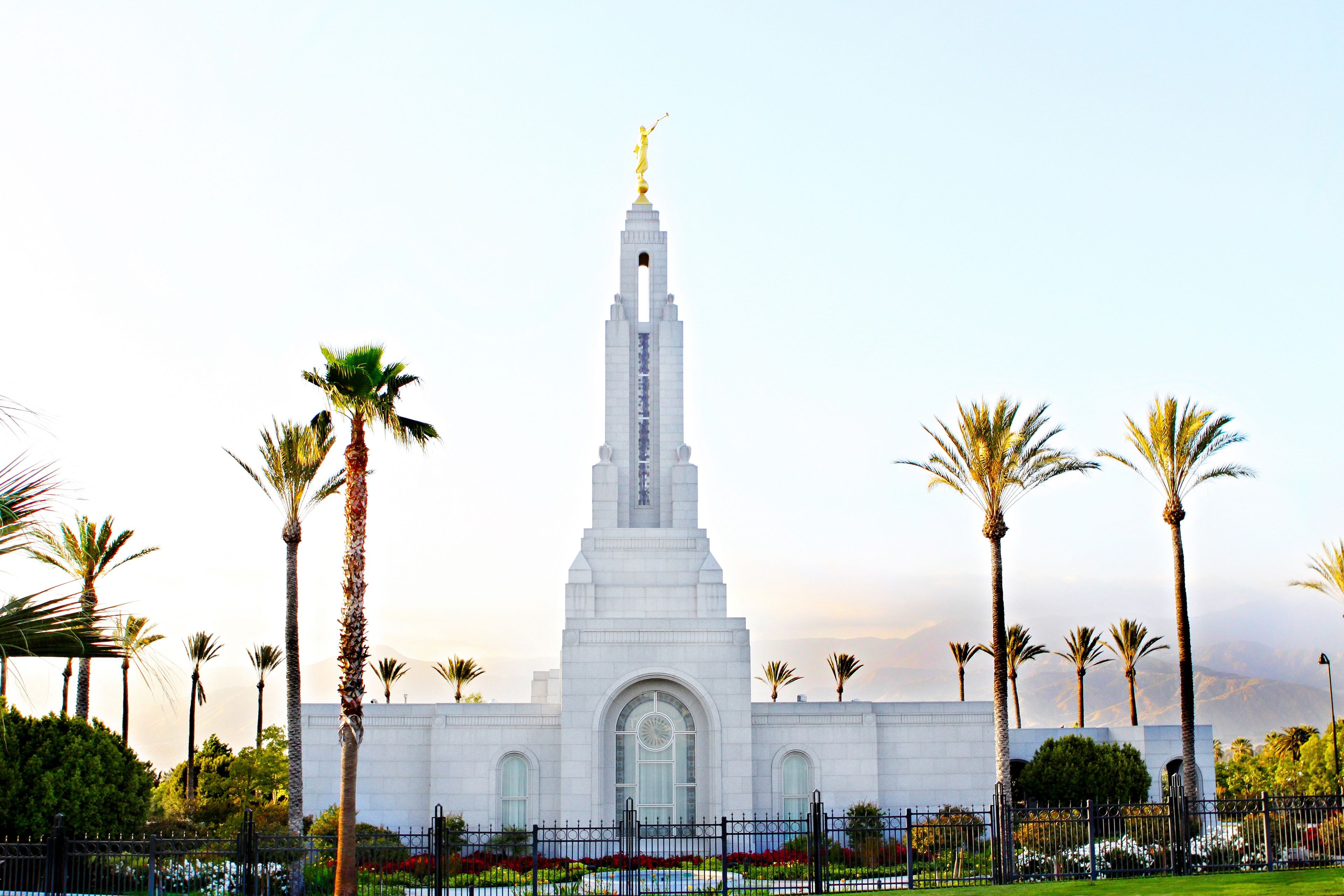 The Redlands California Temple, with palm trees growing all around it.