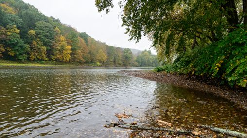 Priesthood Restoration Site - Susquehanna River in fall during rain