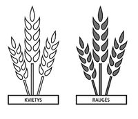wheat and tares