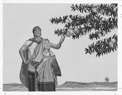 Couple prenant du fruit de l’arbre de vie