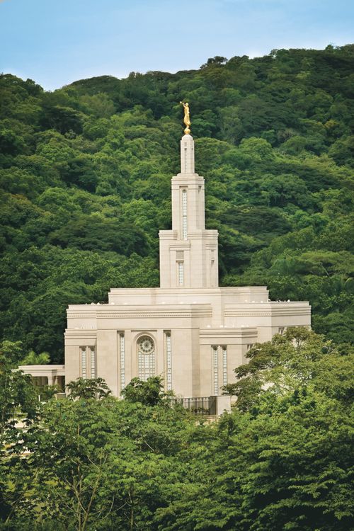 The Panama City Panama Temple seen from afar, amidst a large number of green trees.