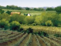 馬丁·哈里斯的農場