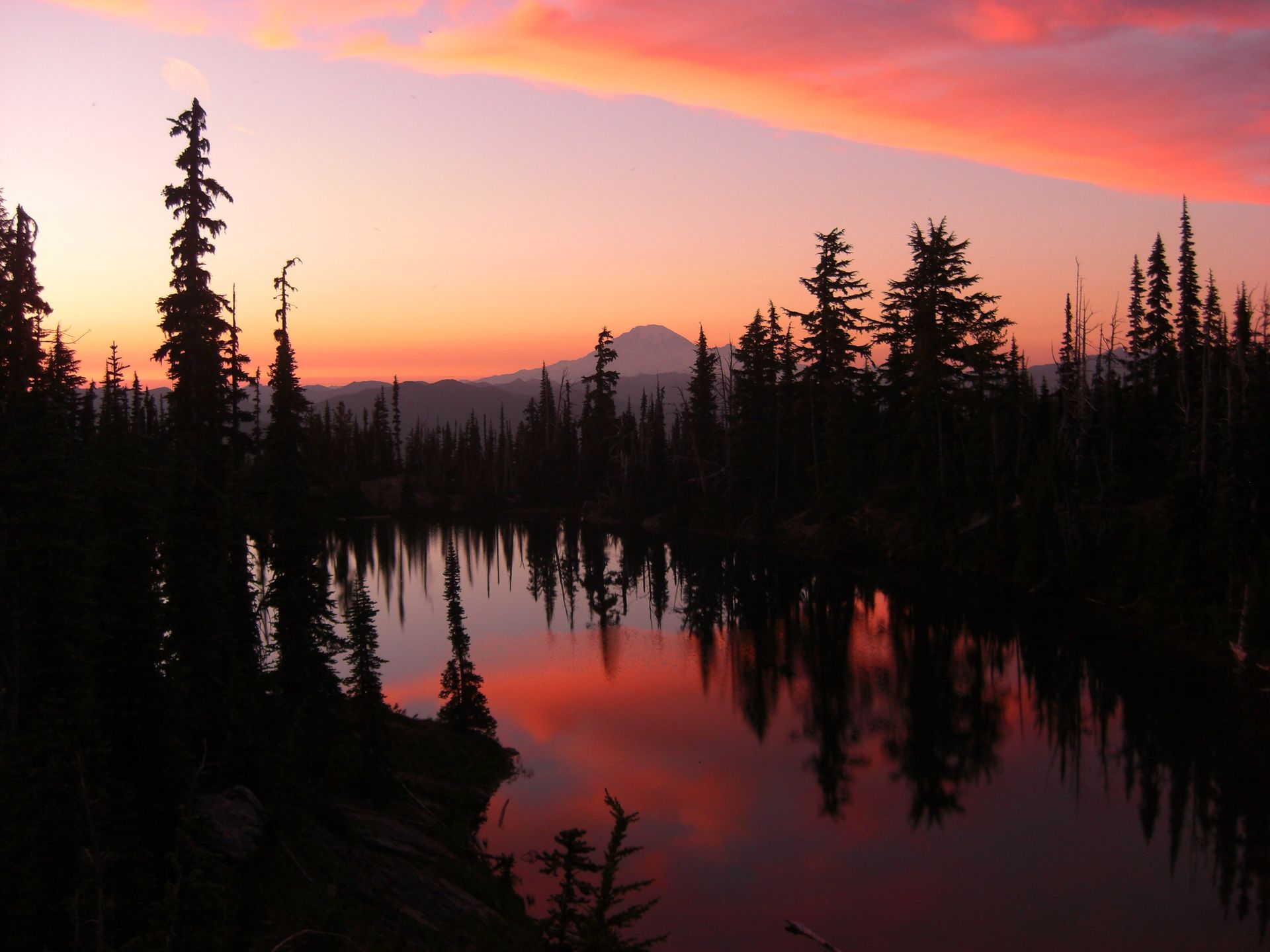 Tall pine trees line a lake at sunset.