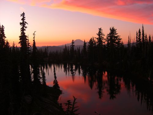 Pine trees line a lake at sunset, with a pink, purple, and yellow sky reflected in the water.