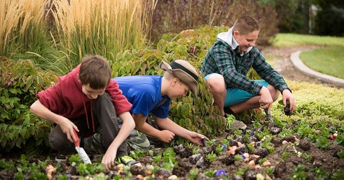 youth planting in flower bed
