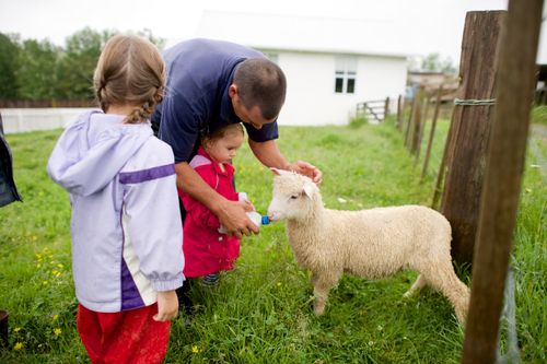 A photo of a father and his young daughters in New Zealand feeding a sheep with a bottle.