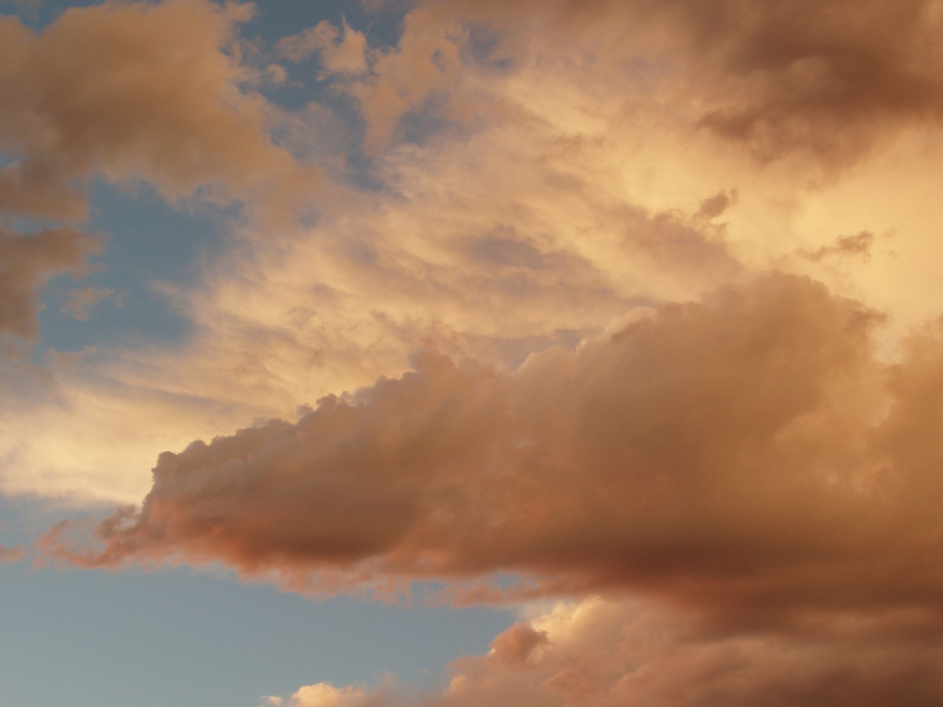Clouds that look orange lie under a blue sky.