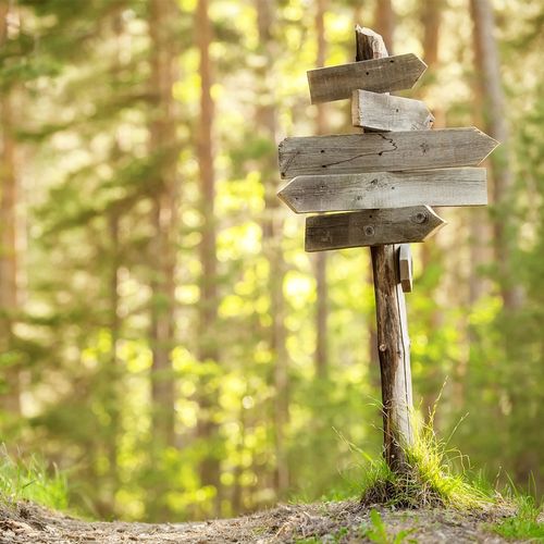wooden sign with arrows pointing various directions