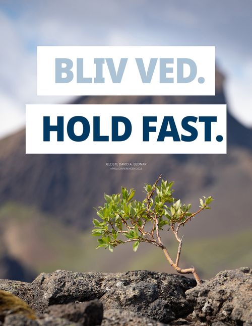 plakat med planter, der vokser på en klippe