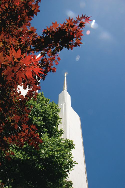 A spire of the Washington D.C. Temple, with red and green trees to the left of it.