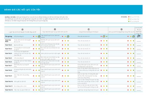 hình nhỏ đánh giá các nỗ lực của tôi