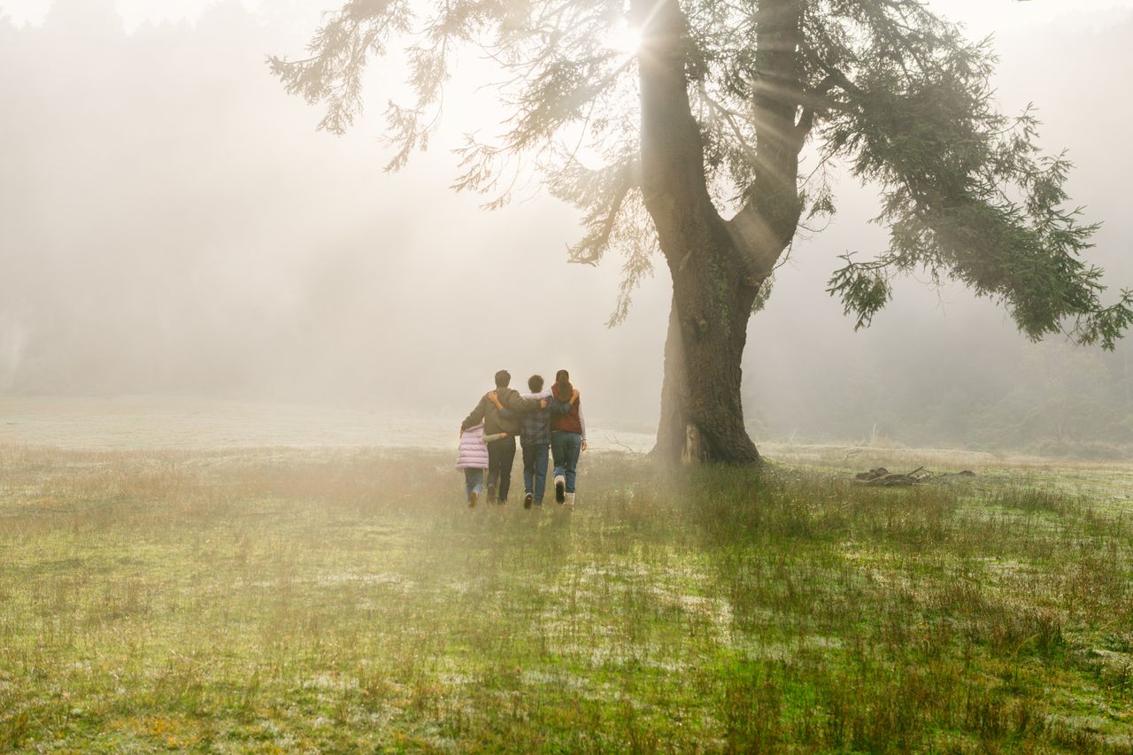 Una familia camina debajo de un árbol grande