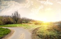 composite of 2 photo's of different landscapes