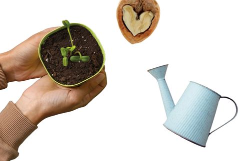 various gardening items, including a potted plant held by two hands