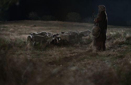 Luke 2:8–15, A shepherd standing in a field