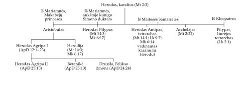 diagram of the family of Herod