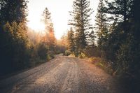 Nuestras decisiones determinan el camino que lleva nuestra vida