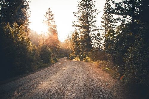 Uma estrada de terra atravessa um bosque mostrando a mão de Deus na natureza
