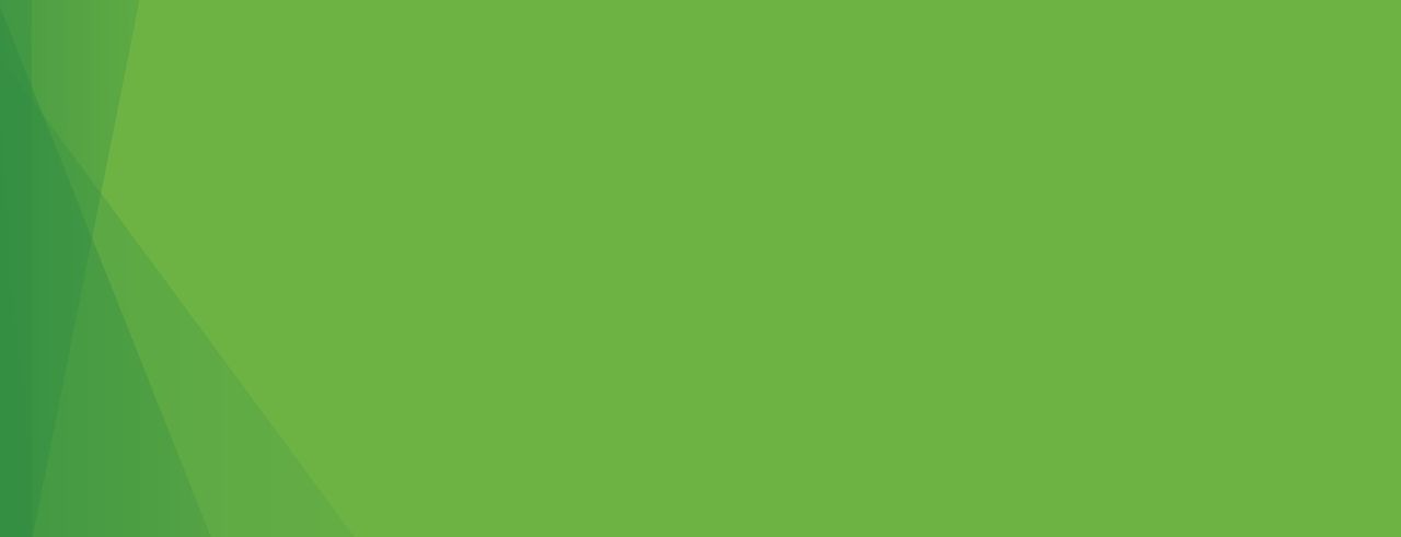 A green background with a light rays graphic