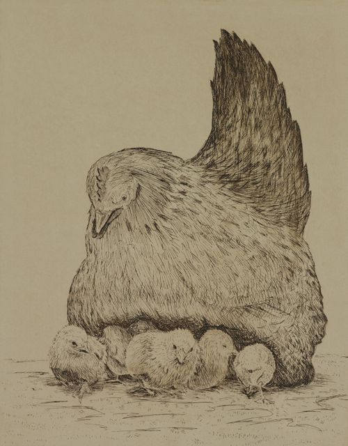 An etching of a hen gathering a group of chicks to protect them.