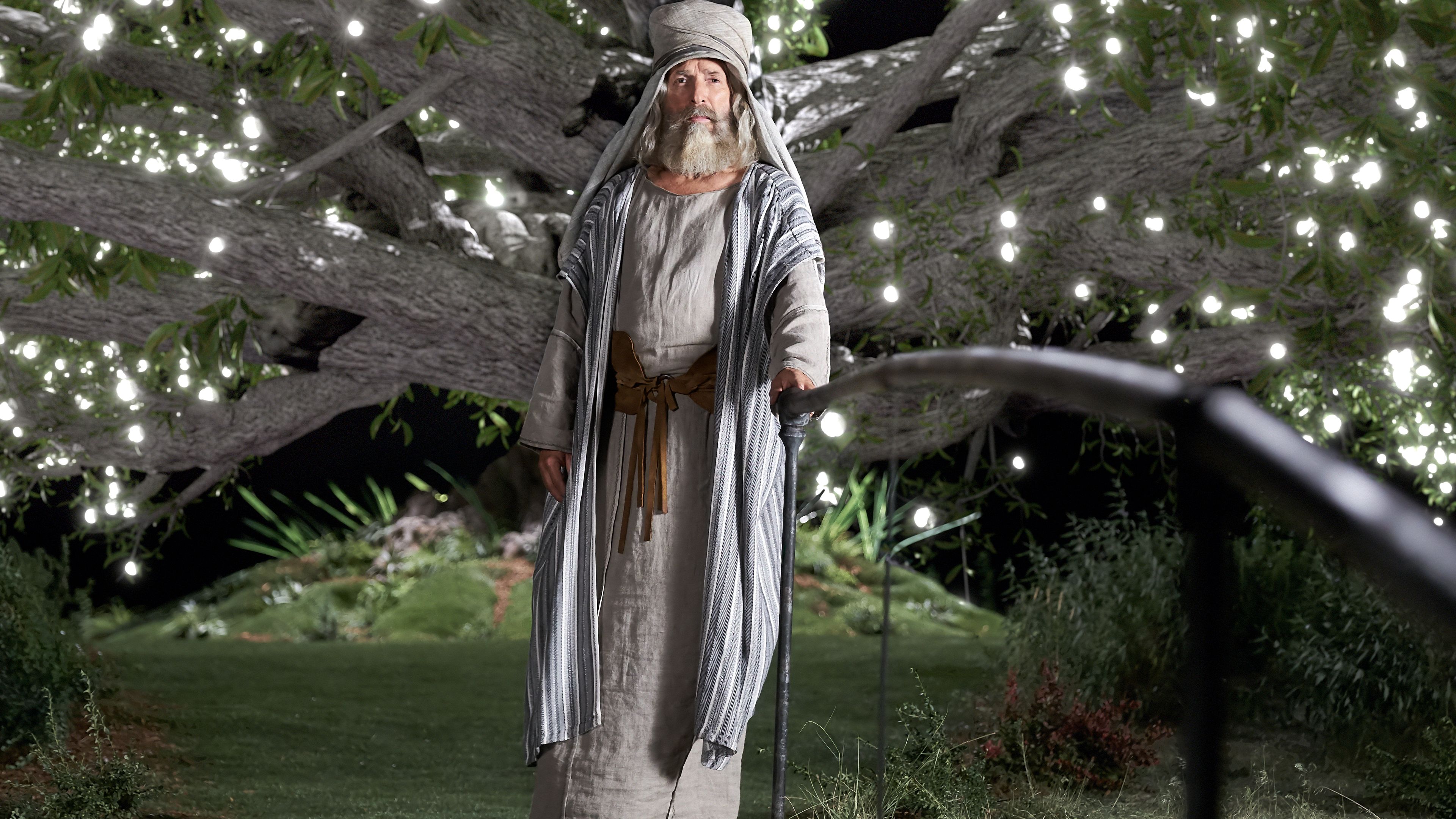 Lehi grasps the iron rod at the tree of life.