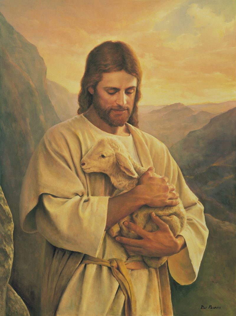 The Lost Lamb, by Del Parson; GAB 64; Luke 15:4–7; John 10:11–16; Alma 5:37–42
This image is to be used for Church purposes only.