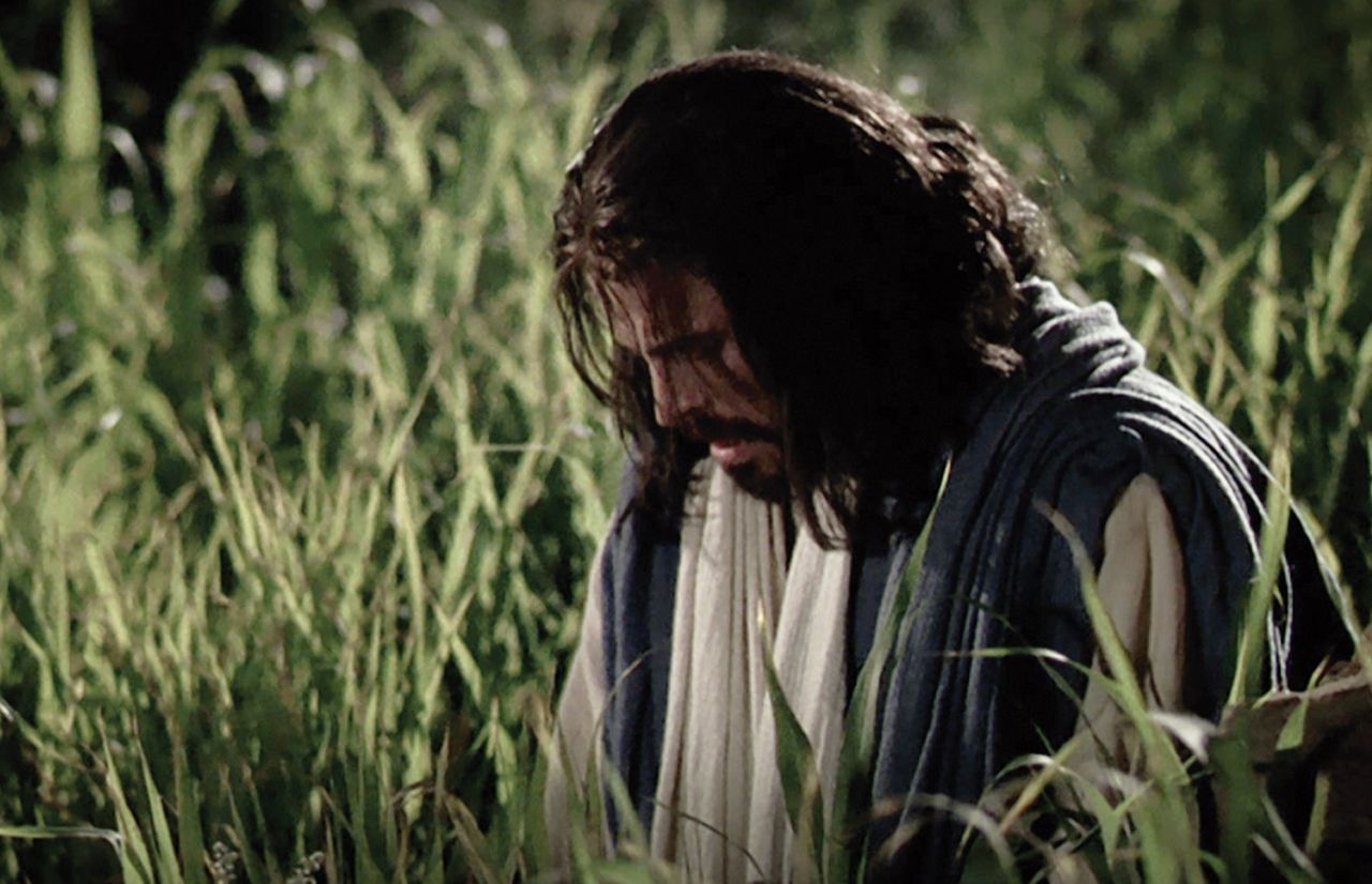 Jesucristo sufre por nuestros pecados en el Jardín de Getsemaní