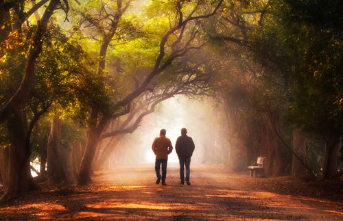照片：兩個男人走在被樹覆蓋的小徑上