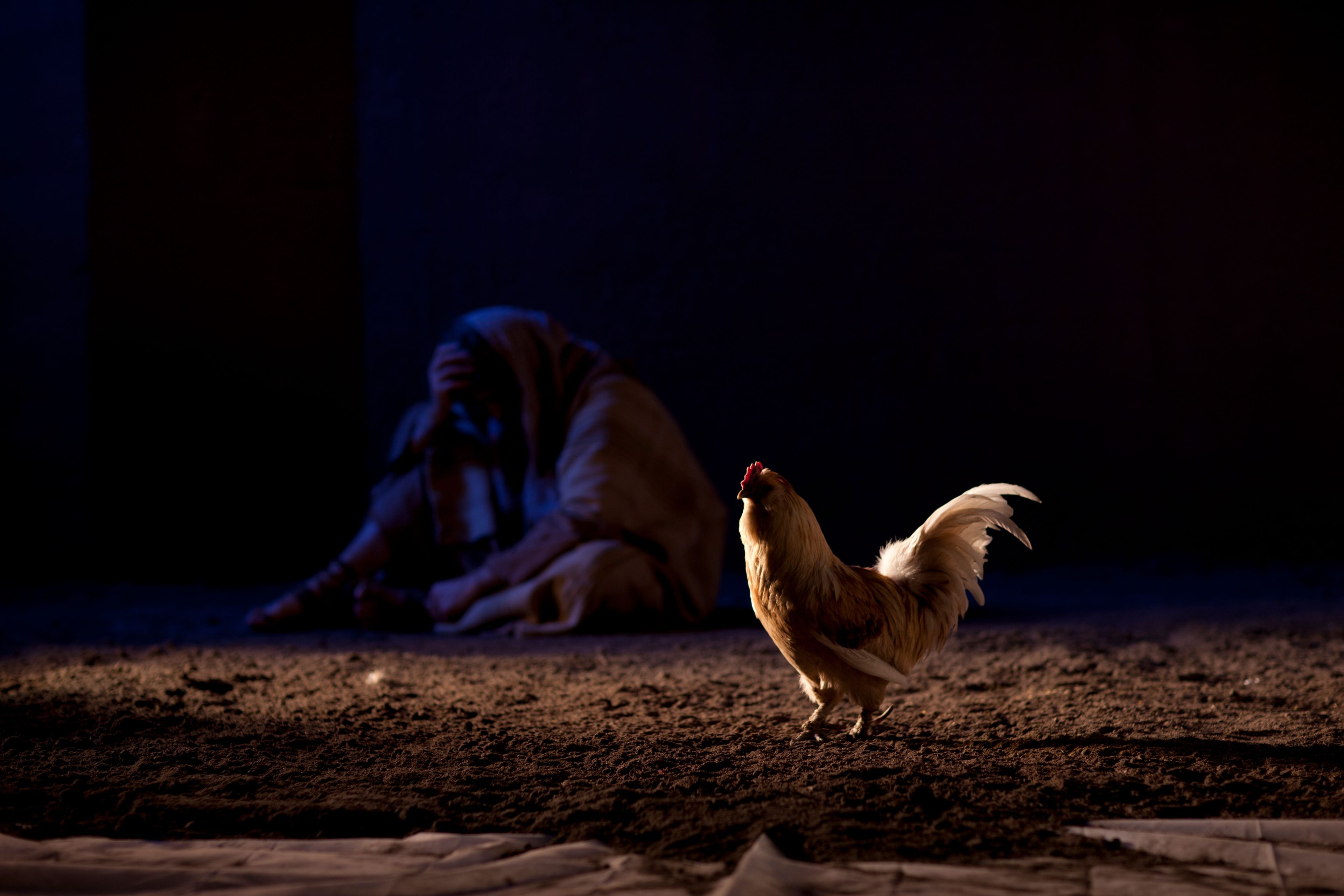 Peter in despair, sitting near a rooster after having denied Christ.