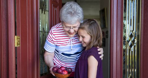 Granddaughter handing her grandmother some freshly picked plums.