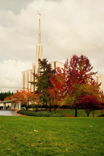 A side view of the Seattle Washington Temple in the fall, including the spire and scenery.