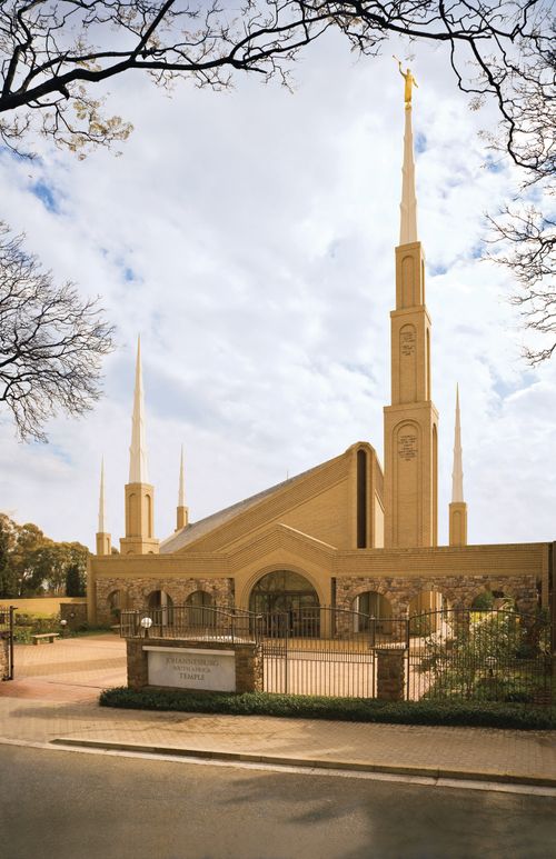 A view of the Johannesburg South Africa Temple from afar, framed by the branches of a tree in the foreground.