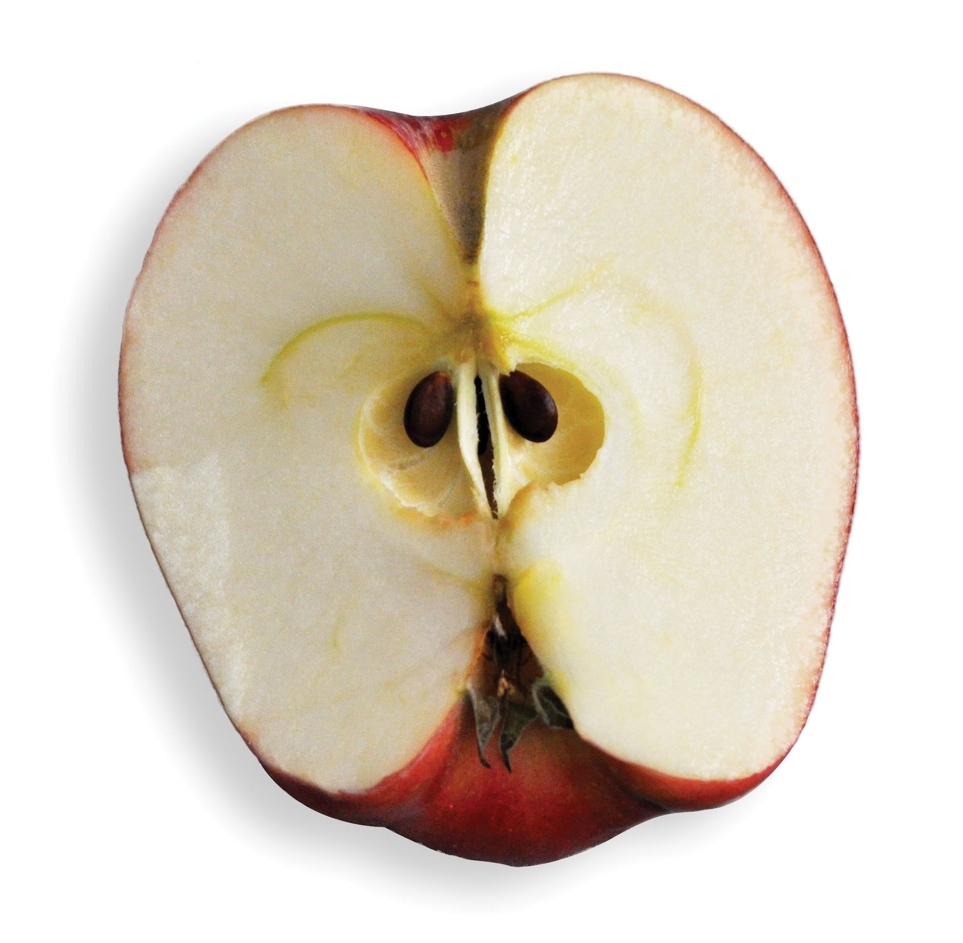 A portion of a sliced apple with two seeds showing.