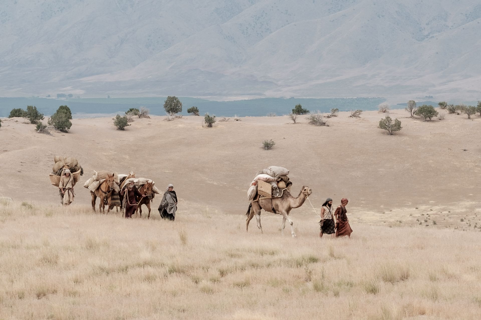 Lehi's sons and Ishmael's family travel in the wilderness.