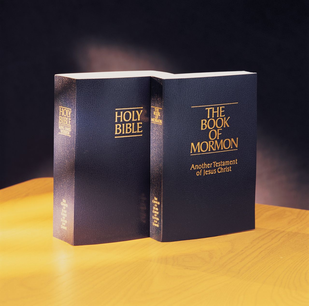 The Bible and the Book of Mormon