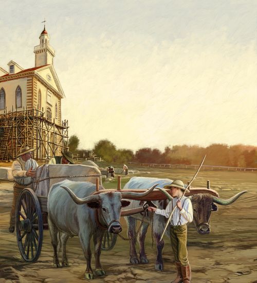 An illustration of the construction of the Kirtland Temple, with oxen and pioneers in the forefront. 