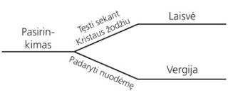 schema, pasirinkimas ir pasekmės
