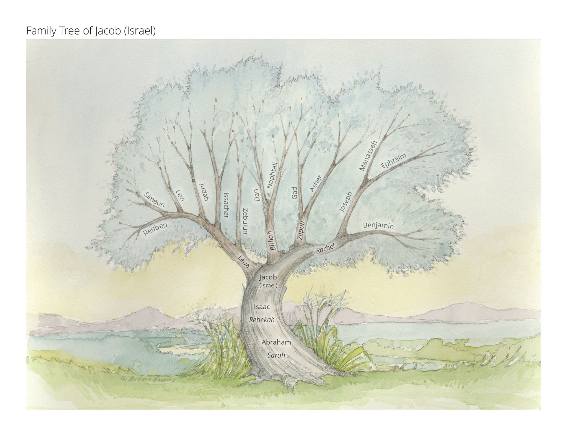 A tree is growing up that represents Jacob's family tree.