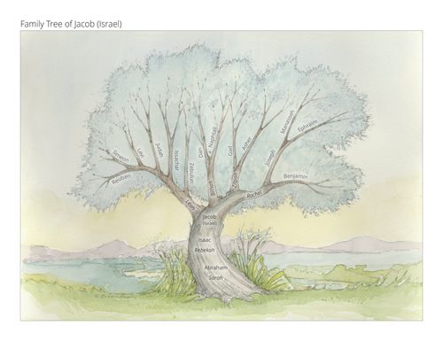 The Family Tree of Jacob (Israel). A tree is growing up that represents Jacob's family tree.