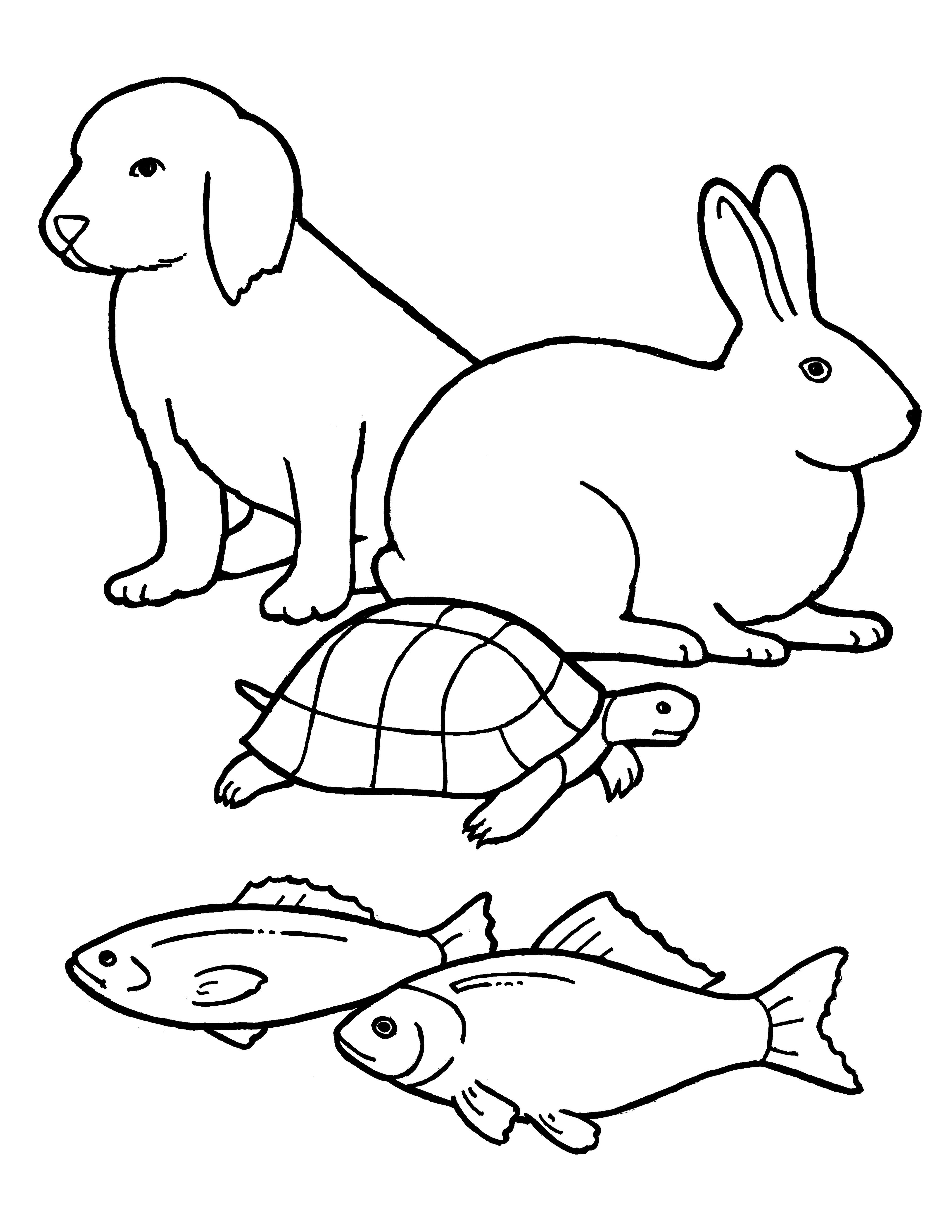 A line drawing of animals from the nursery manual Behold Your Little Ones (2008), page 35.