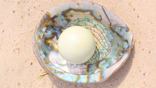 shell sand pearl