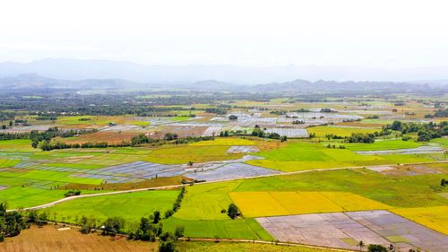 菲律賓農場一景