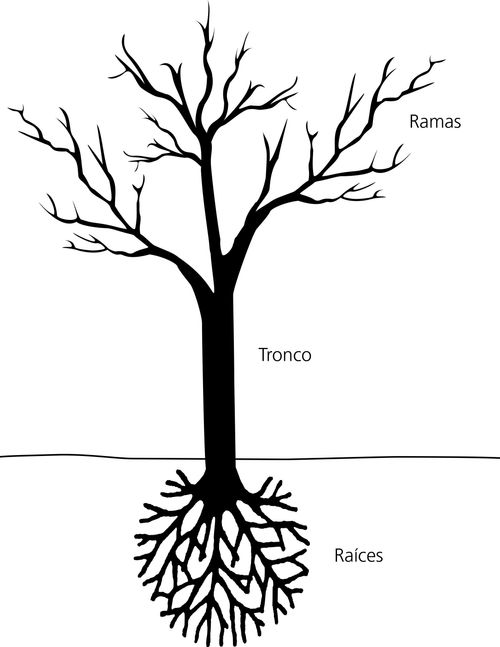 tree