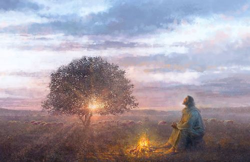 耶稣基督坐在树旁